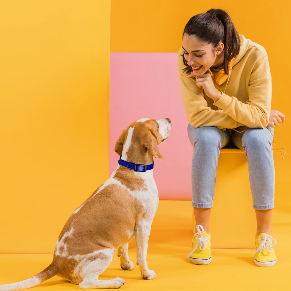 Wide 1.5"- XL (20 to 24 inches) Biothane Waterproof Collar