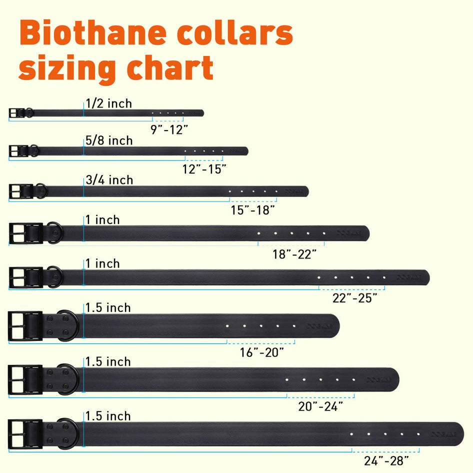 Wide 1.5"- XL (20 to 24 inches) Biothane Waterproof Collar