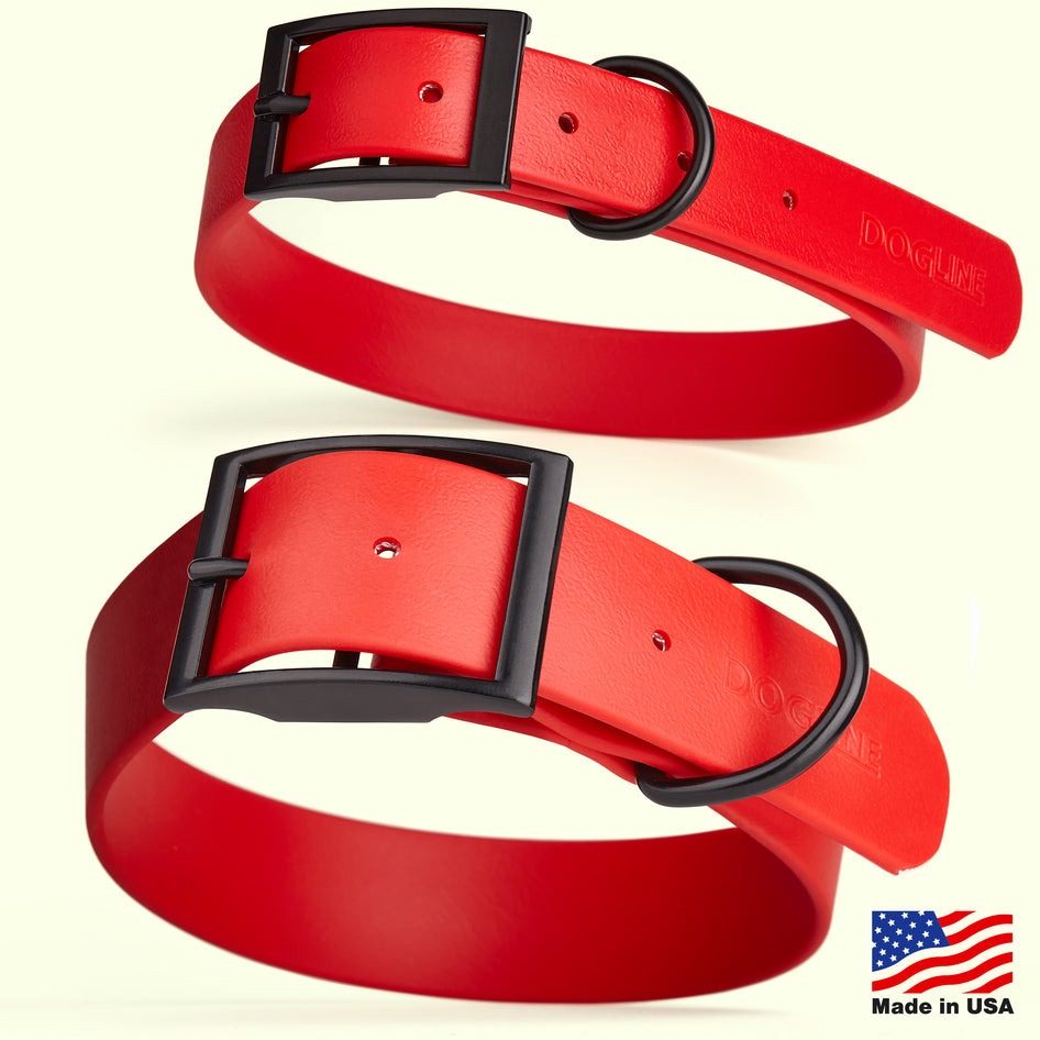 Wide 1.5"- XL (20 to 24 inches) Biothane Waterproof Collar