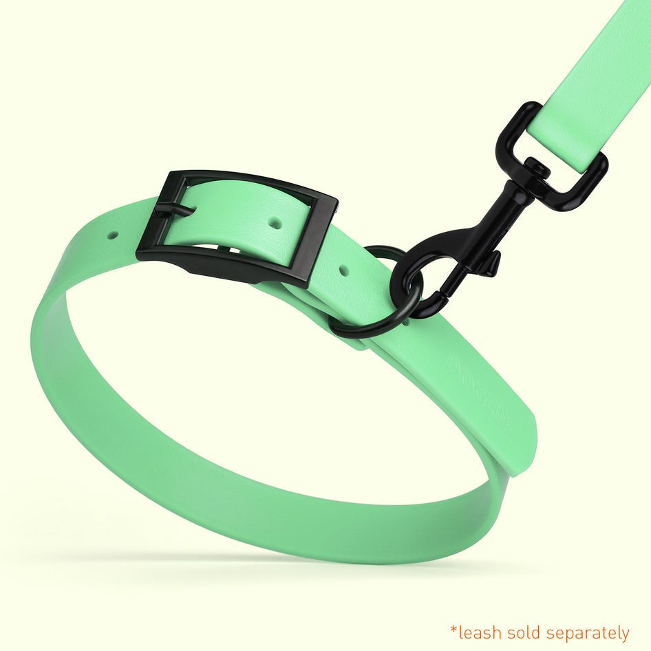 Wide 1.5"- XL (20 to 24 inches) Biothane Waterproof Collar