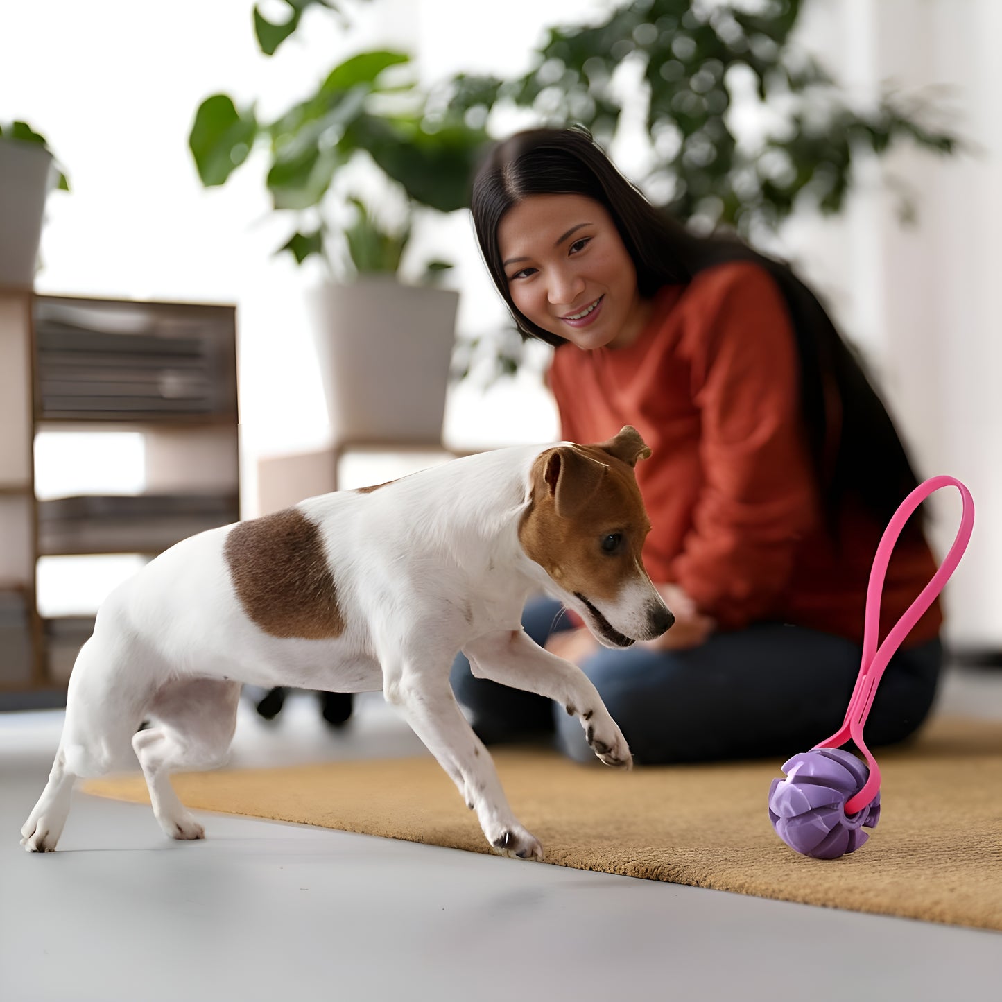 Rubber Spiral Ball Dog Toy with Biothane Handle