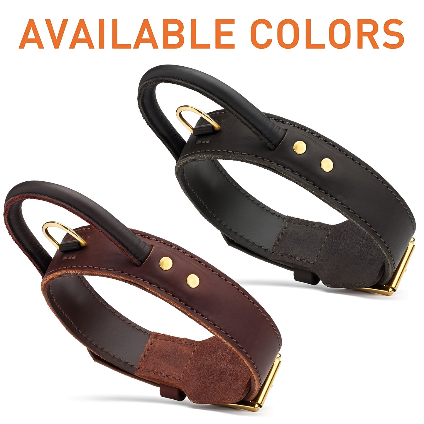 Extra Durable 2 Ply Leather Dog Collar with Handle - Ultimate Control