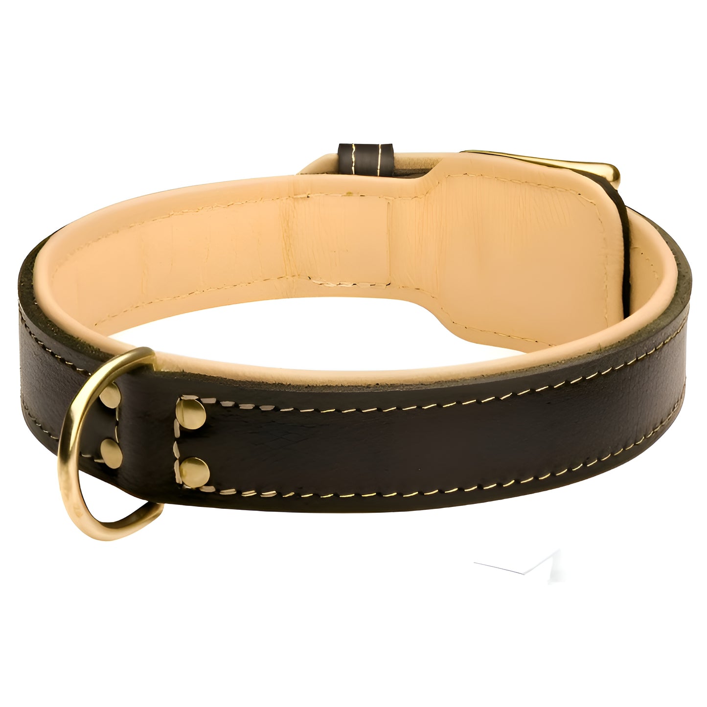 Royal Nappa Padded Handmade Leather Dog Collar for Fashion Walking