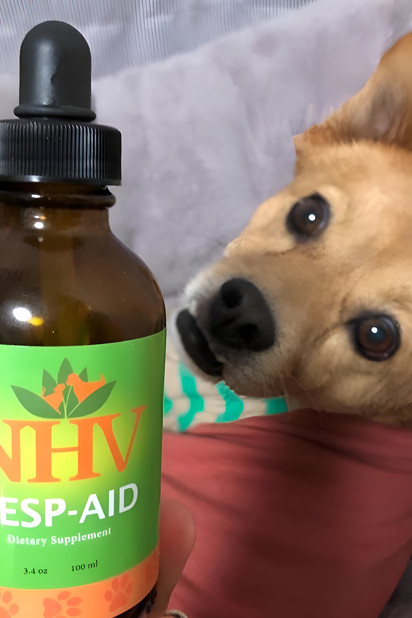 Resp-Aid™ for dogs & Cats
