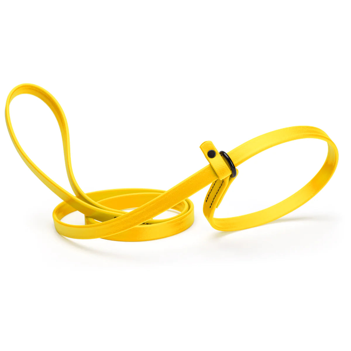 Biothane Waterproof Slip Lead