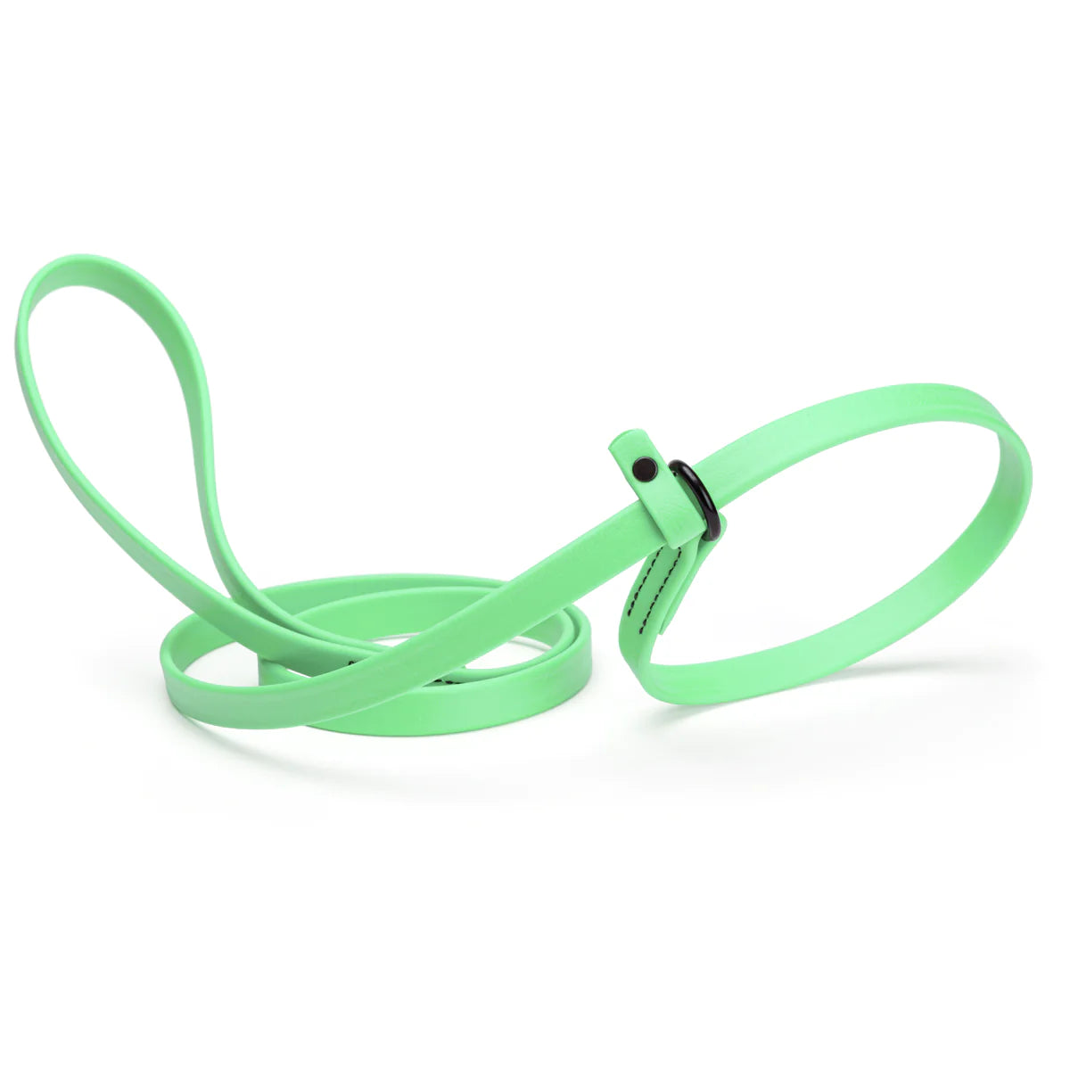 Biothane Waterproof Slip Lead