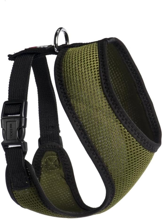 Mesh Harness