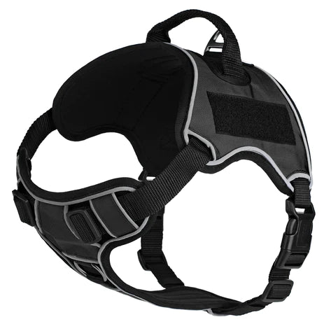 Quest Multi-Purpose Dog Harness