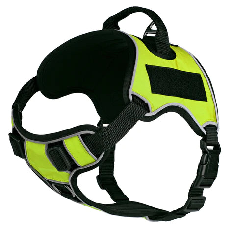 Quest Multi-Purpose Dog Harness