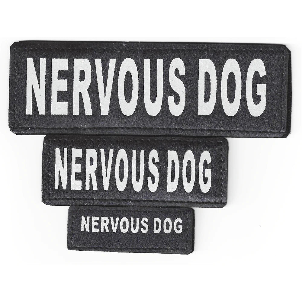 Removable Reflective Patches (Set of 2)