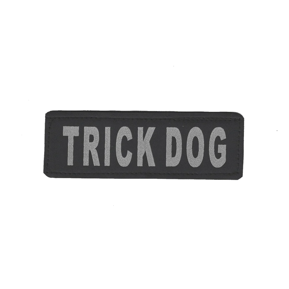 Removable Reflective Patches (Set of 2)
