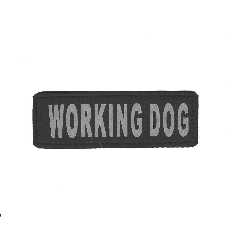 Removable Reflective Patches (Set of 2)