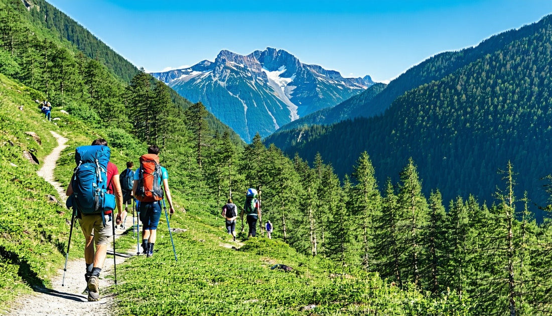 Essential Tips for Hiking with Your Dog: Gear Up with NexaPaw!