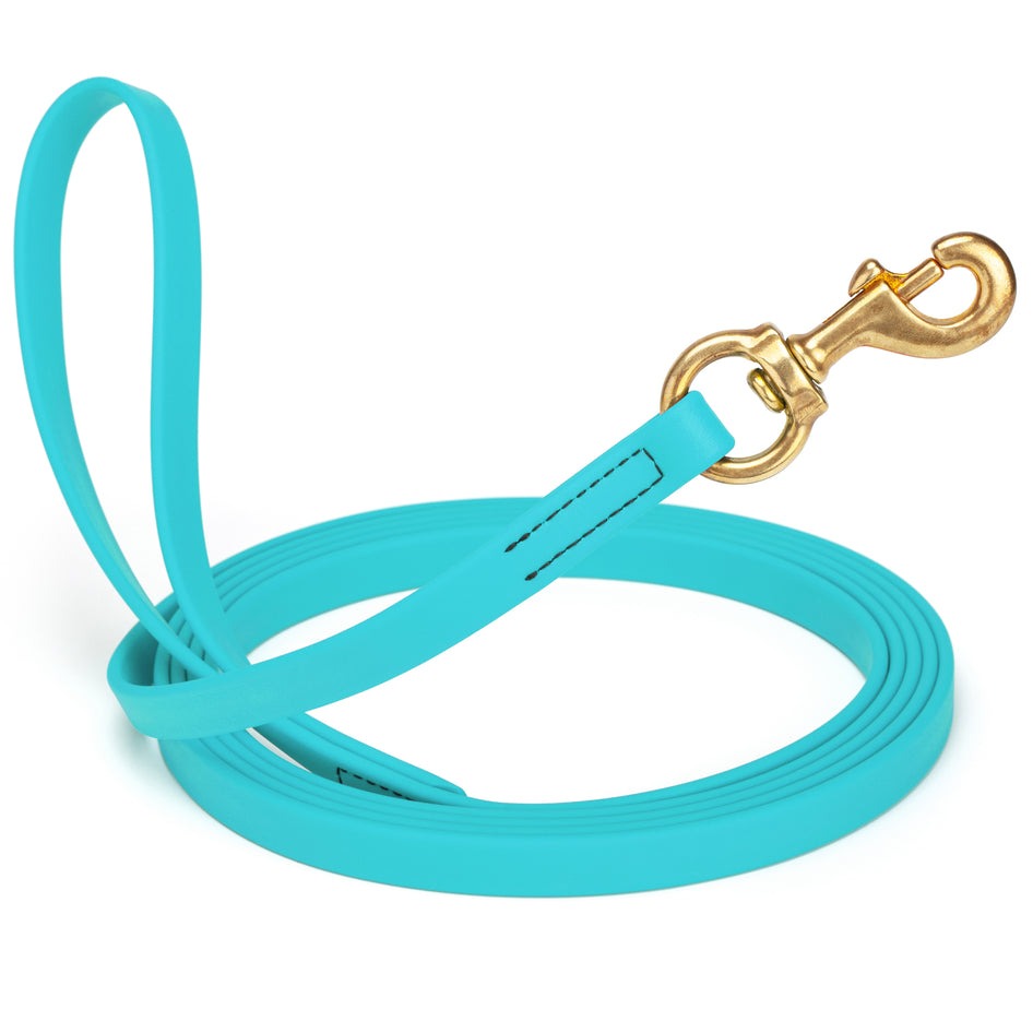 Long Lines & Training Leads
