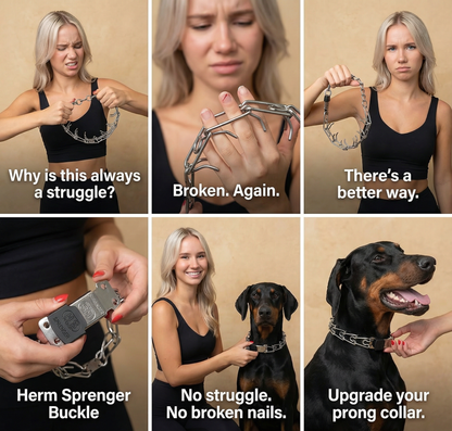 Herm Sprenger ClicLock Sujetador Hebilla de acero inoxidable