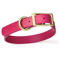 Size XL (22 to 25 inches)-Viper Biothane Waterproof Collar -  Brass Hardware