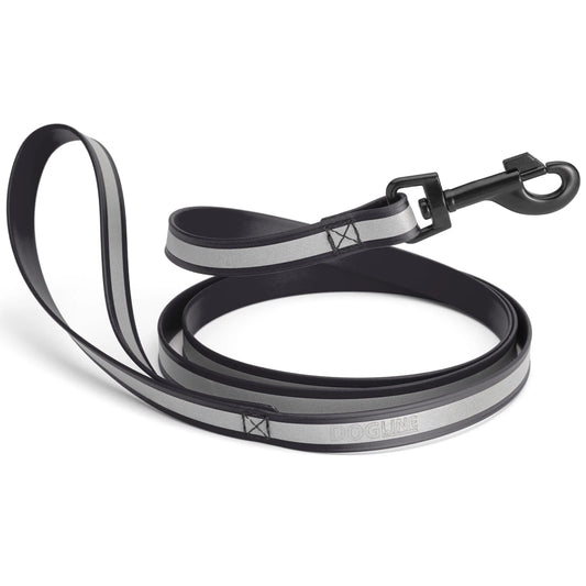 Reflective Biothane Dog Leash with Black Hardware