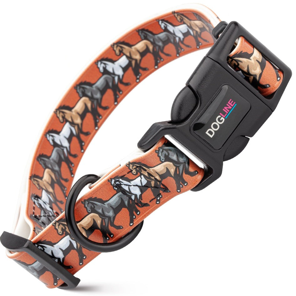 Biothane  Quick Release Printed Collar