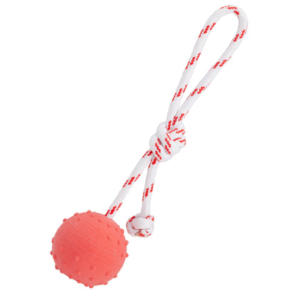 FDT Solid Rubber Dog Ball with Rope – Water Fetch Toy – Medium 2.3" (6 cm)