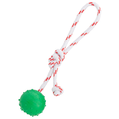 FDT Solid Rubber Dog Ball with Rope – Water Fetch Toy – Small 2" (5 cm)