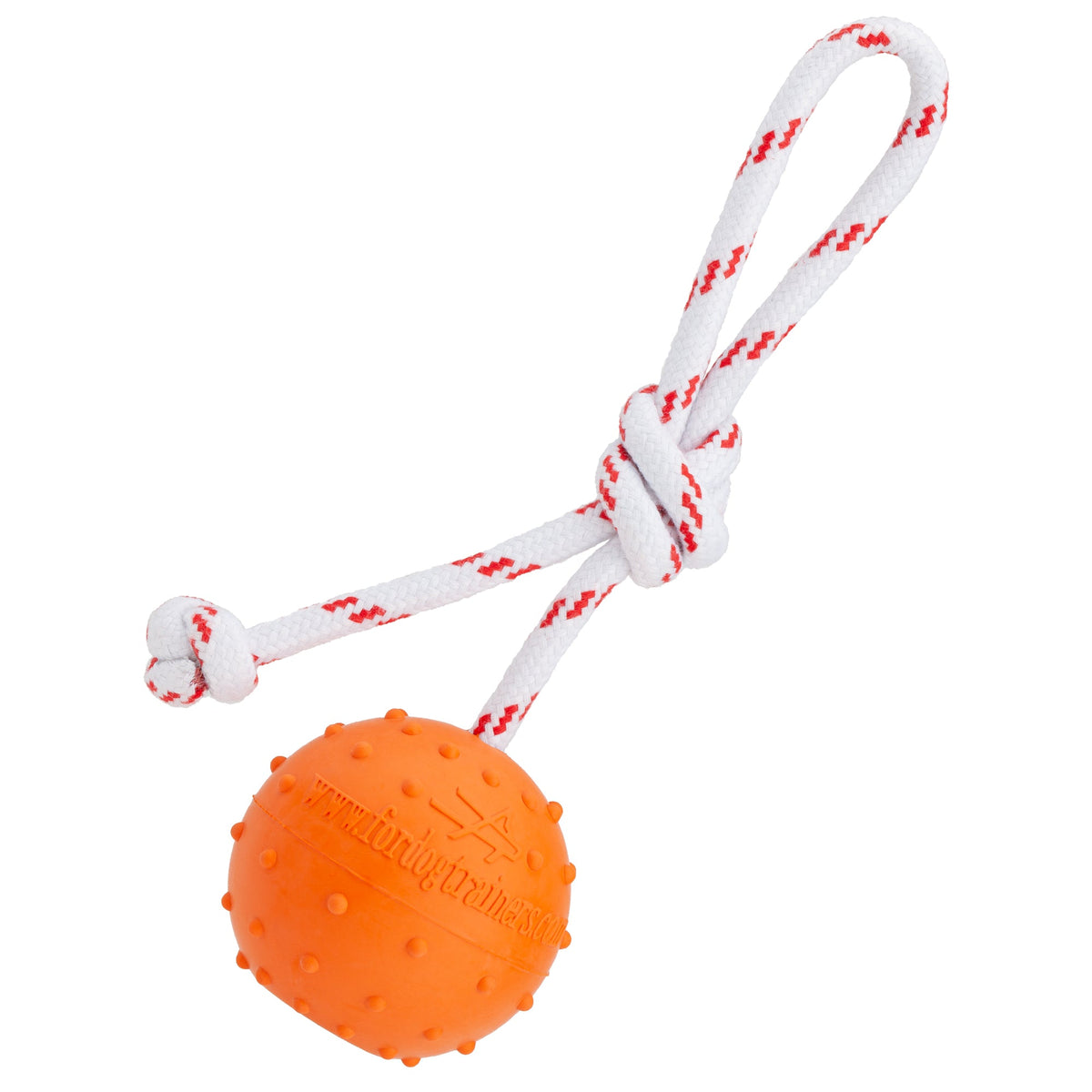 FDT Solid Rubber Dog Ball with Rope – Water Fetch Toy – Large 2.75" (7 cm)