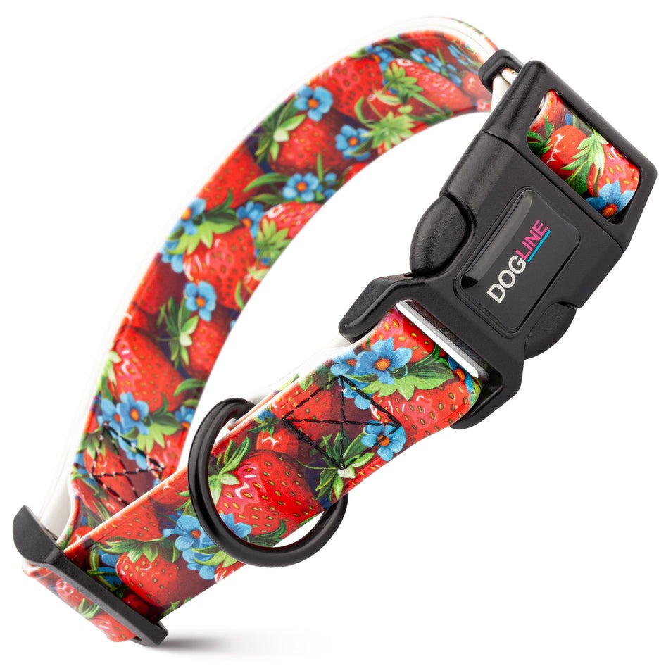 Biothane  Quick Release Printed Collar