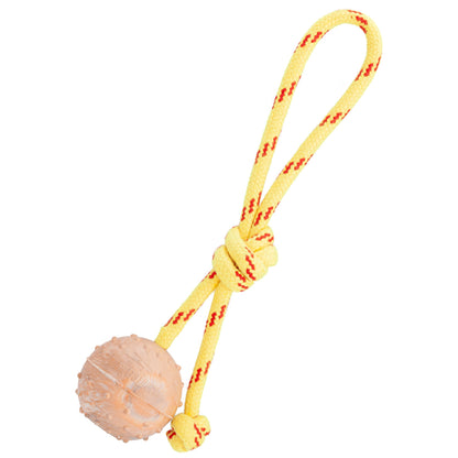 FDT Rubber Dog Ball on Rope – Small 2" (5 cm) – Hollow