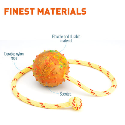 FDT Solid Rubber Dog Ball on Rope – Large 2.75" (7 cm) – view 5