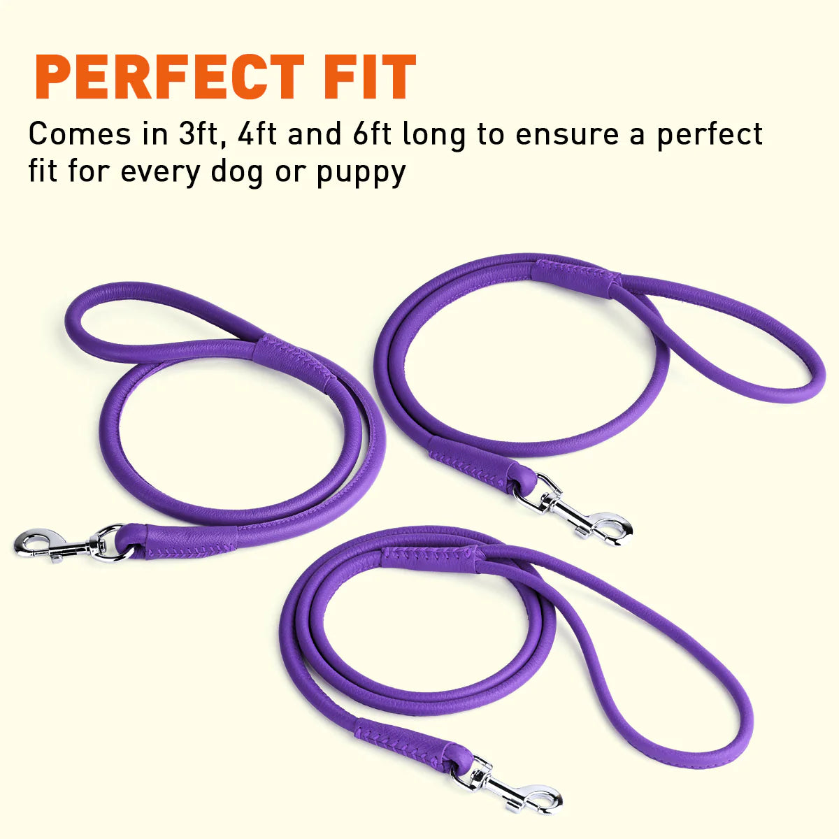 Strong Round Leather Lead Leash