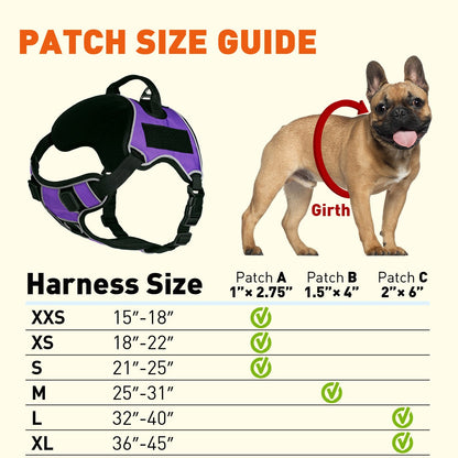 Quest Universal Dog Harness – Control, Safety, and Comfort in Every Step