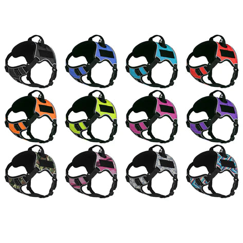 Quest Multi-Purpose Dog Harness