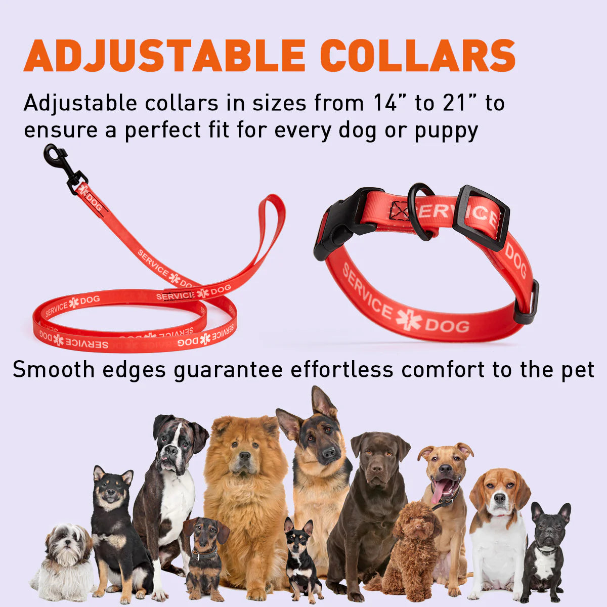 Biothane Service Dog Collar and Leash