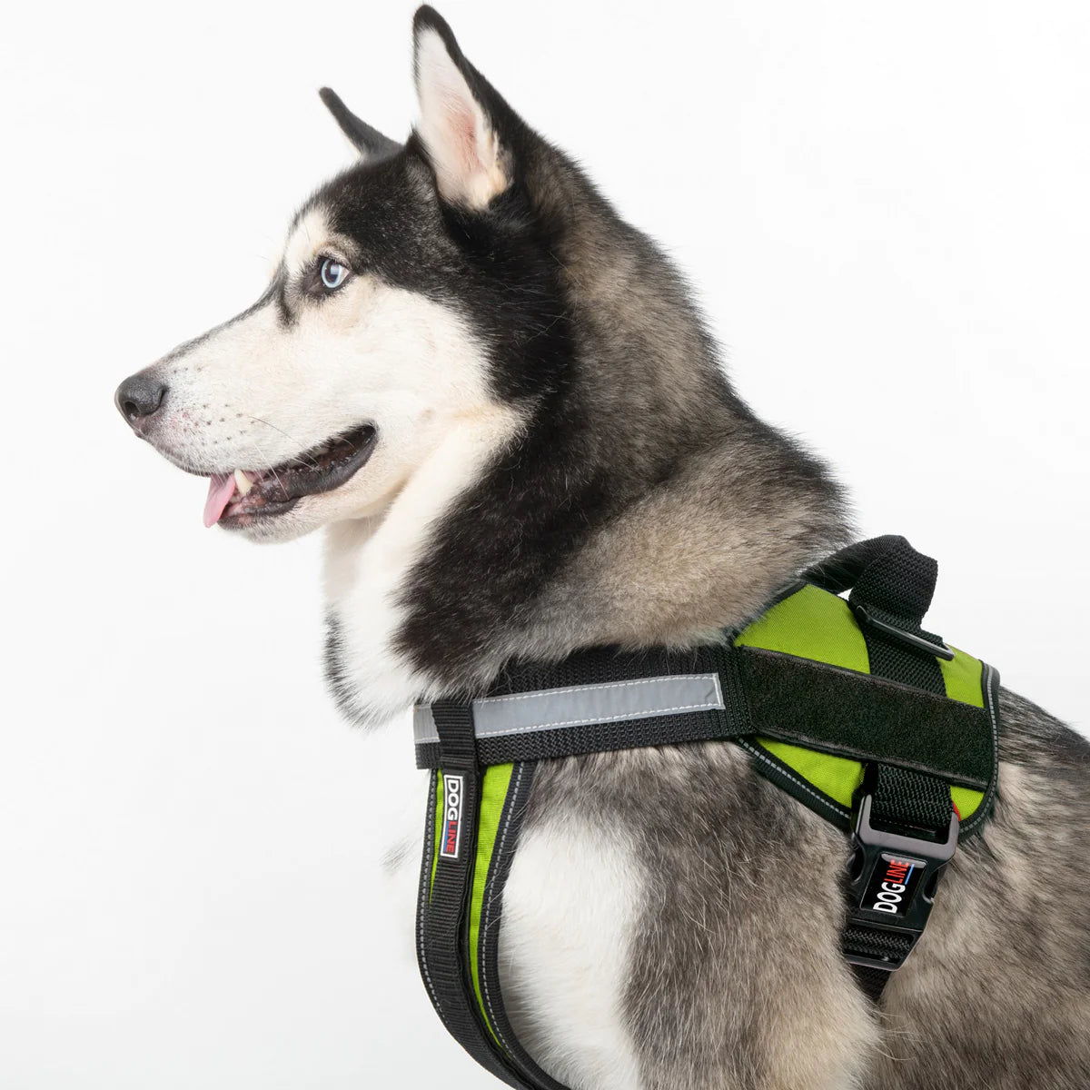 Unimax Multi-Purpose Harness