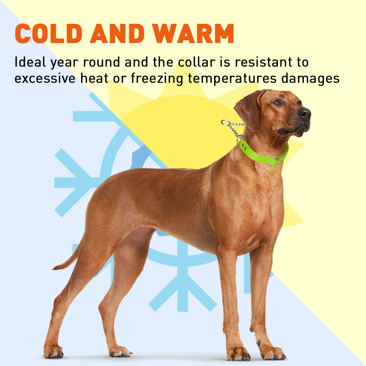 Biothane Adjustable Martingale Collar