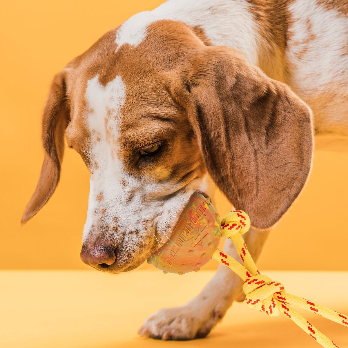 FDT Solid Rubber Dog Ball on Rope – Large 2.75" (7 cm) – view 2