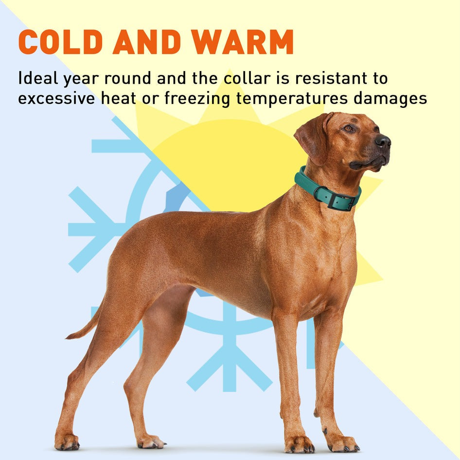 Biothane Waterproof Collar - Wide - L (16 to 20 inches)