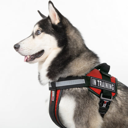 3D Rubber "In Training" Removable Patches for Dog Harness and Vest