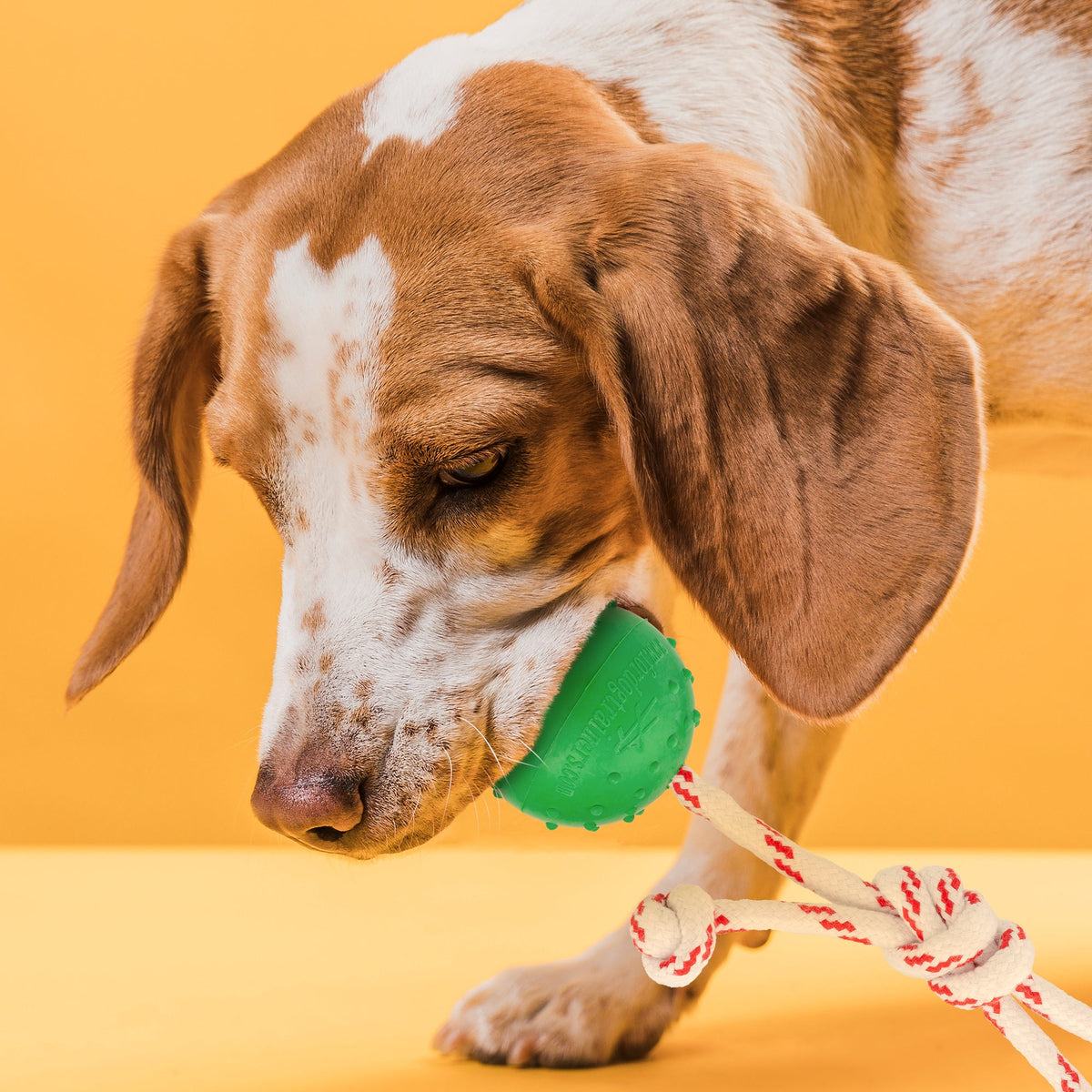 FDT Solid Rubber Dog Ball with Rope – Water Fetch Toy – view 4