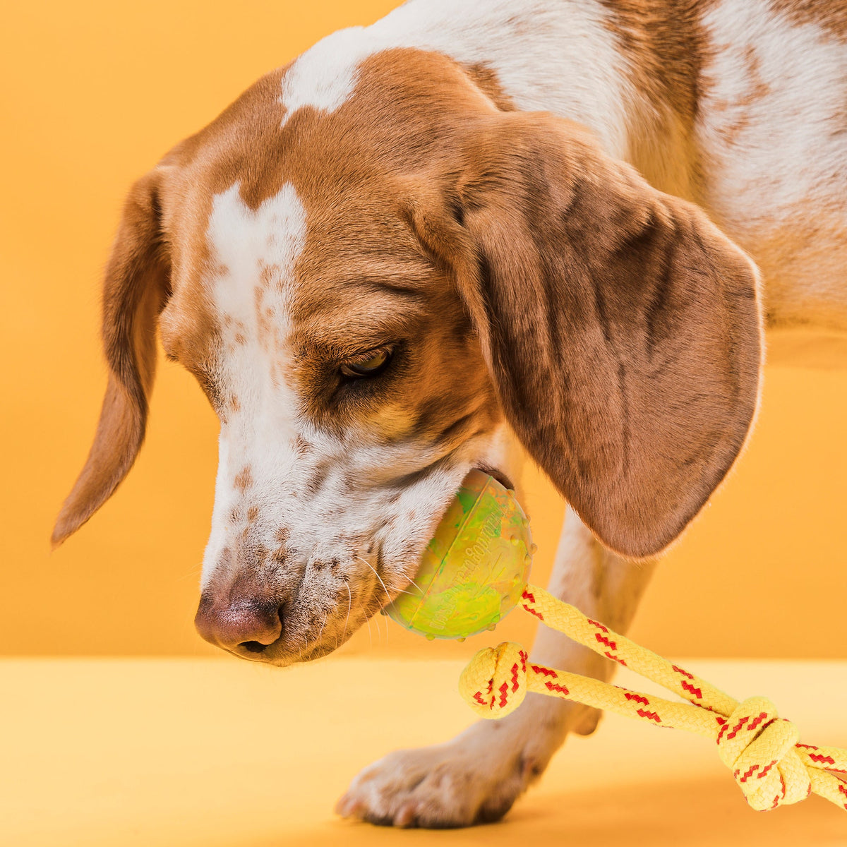 FDT Rubber Dog Ball on Rope – Small 2" (5 cm) – view 3