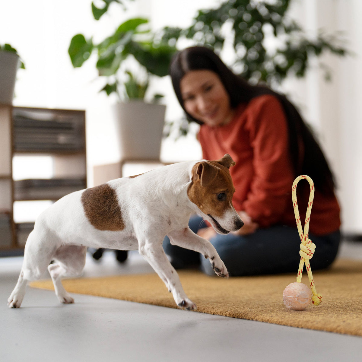 FDT Rubber Dog Ball on Rope – Small 2" (5 cm) – view 4