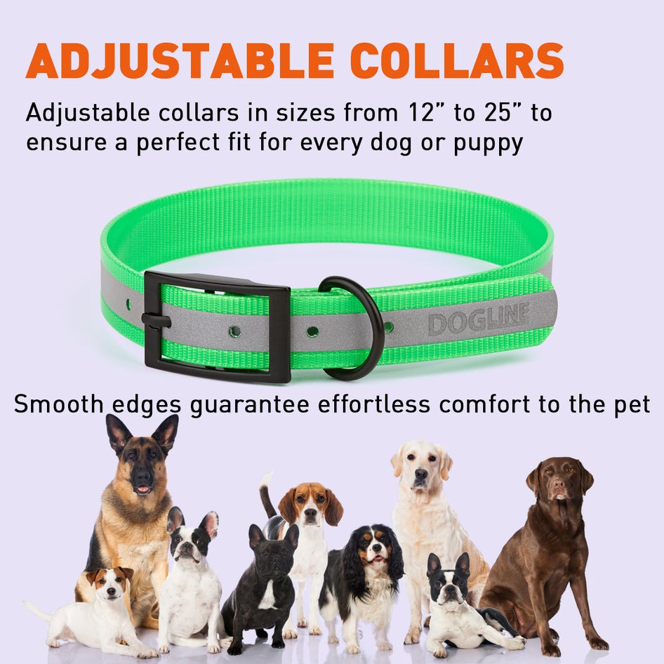 Biothane Translucent Reflective Collar