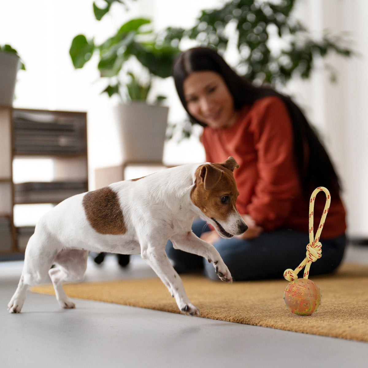 FDT Solid Rubber Dog Ball on Rope – Large 2.75" (7 cm) – view 3