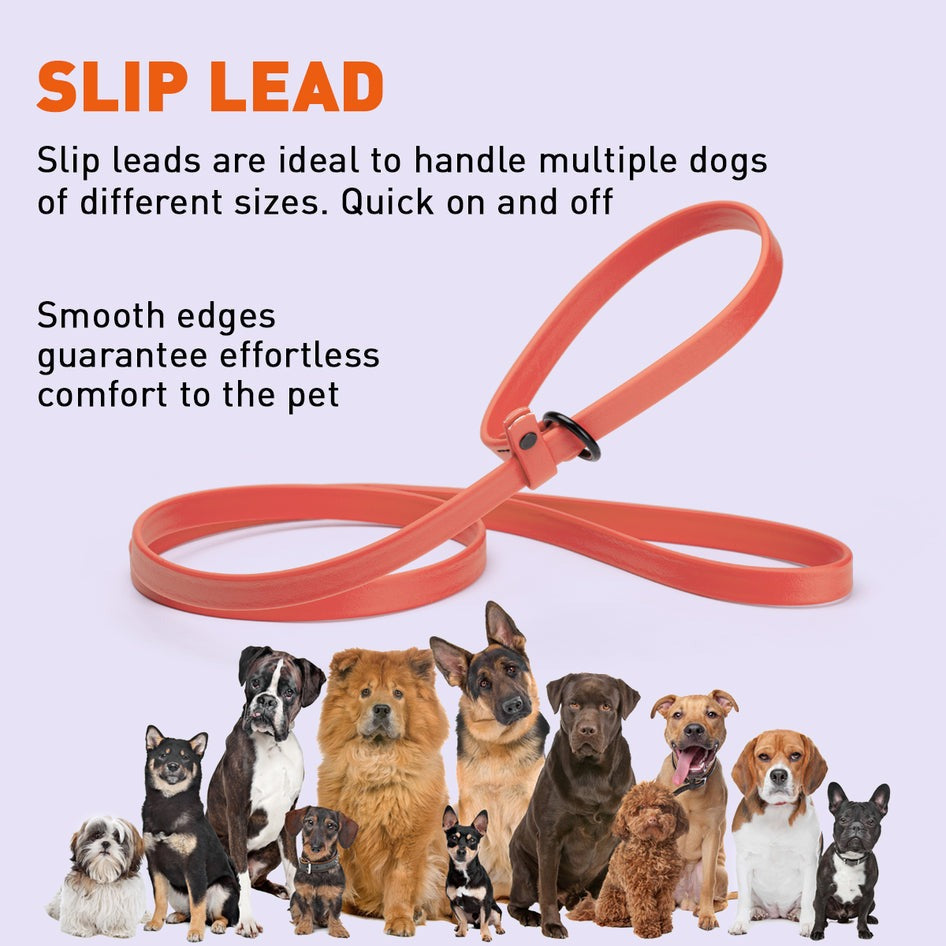 Biothane Waterproof Slip Lead