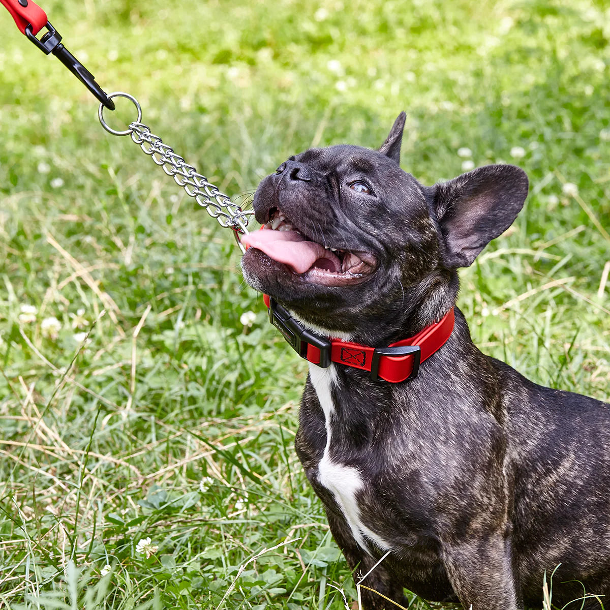 Biothane Adjustable Martingale Collar with Quick Release Buckle