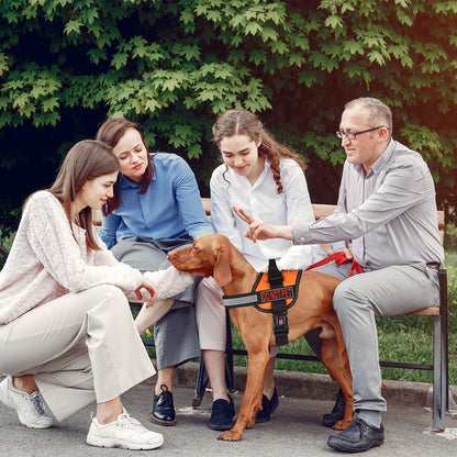 3D Rubber "Do Not Pet" Removable Dog Harness Patch