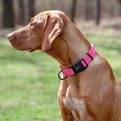 Nylon Flat Dog Collar