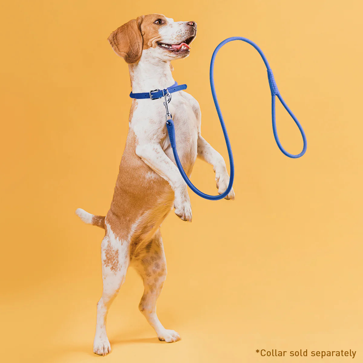 Strong Round Leather Lead Leash