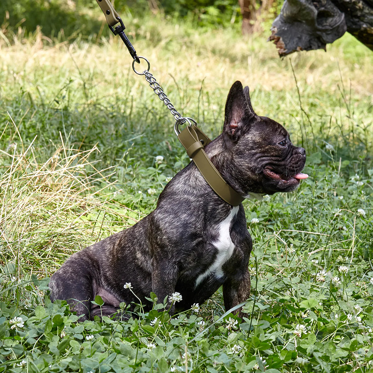 Biothane Adjustable Martingale Collar