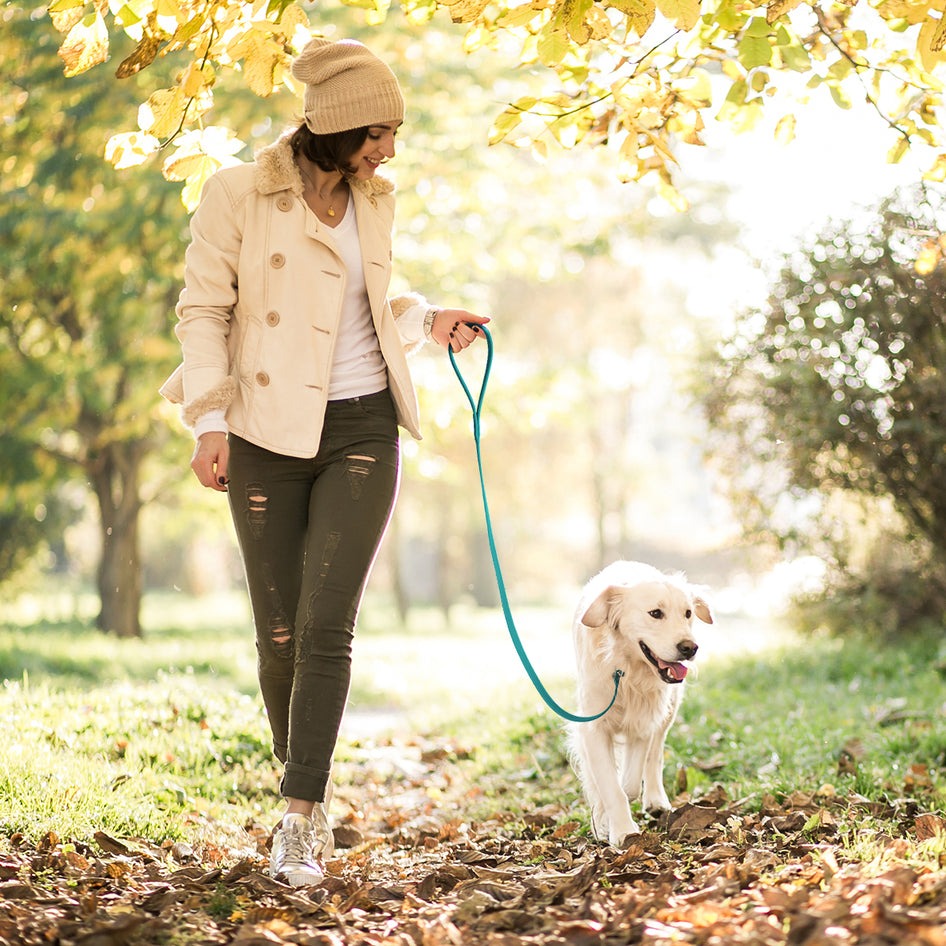 Biothane Waterproof Slip Lead