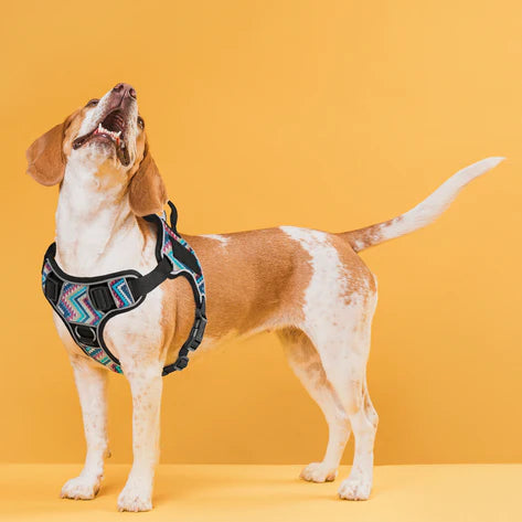 Quest Multi-Purpose Dog Harness